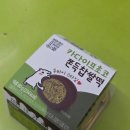 숲속은성 | 가을에 뭐했나. with 두친자