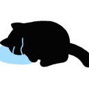 조현우국밥 남영점 이미지