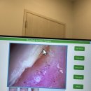 디앤써피부과의원 이미지