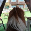 꿈이있는카페 이미지