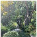 우연밥상 이미지