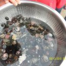 온새미로캠프 이미지