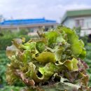 빈이네민박 이미지