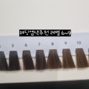 제임스헤어샵 | 신사역 미용실 지미살롱에서 웨딩촬영 염색 대만족한 후기 (+염색시기,색상,후기)