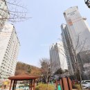 늘푸른단지공인중개사사무소 이미지