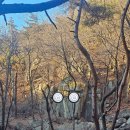 관악산길 | 관악산 다시 도전 그 결과는? 과천 2코스