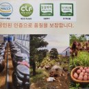 믿음축산농장 이미지