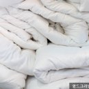 국민세탁소 크리닝 이미지