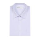 까메리노 이미지