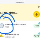 네이버페이 12원 메이튼 이미지