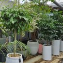 LED플라워 화분 제작 | 남양주 개업 축하 화분은 금곡동 미스플라워가 정답이네요