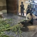 ㈜대화로점 현대자동차 이미지