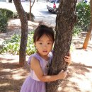 검바위공원 이미지