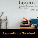 라곰(LAGOM) 이미지