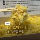 호박이네 | 화명동 떡집 호박이네 답례품 선물 추천, 예약 가격 내돈내산 솔직후기