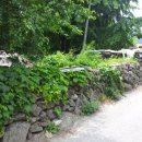 두리봉민박 이미지