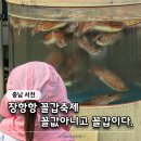 서천사랑요양원 | 서천 꼴갑축제 주차 가격 직접 다녀온 후기