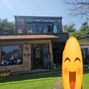 현대기아로 | [화성/비봉 카페] 화성시청 근처 정원이 예쁜 햇살 맛집, 카페 플로잉(cafe flowing) 방문 후기!