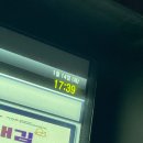 초절정 뽑기왕 | 충격 초절정 꽃냥이 발견! 24시간 초미묘 상시 대기