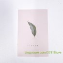 신호초등학교 | 명지 신호동 꽃집 플래트 방문 후기