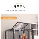 강아지공간 이미지