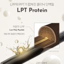 제이숲 서포터즈 크루 1기 발대식 후기 + (feat. 웰컴 시딩키트 언박싱)