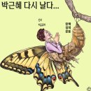 'Netizen '시사만평(時事漫評)'떡메' '2025. 08. 31'(월) 이미지