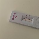 예랑정원 | 8월 1-2주. 아프기도 하고 산청 예랑 정원 캠핑도 다녀오고 많이 먹기도한 일상