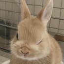 남대구배치과의원 | 실내건축기사 1회차,2회차 실기 후기