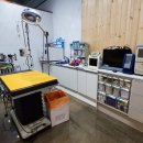 본동물병원 이미지