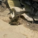 구봉낚시터 이미지