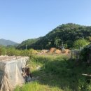 완월동240 이미지