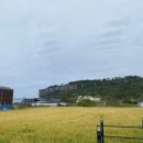 오름한라봉감귤농장，편의점 | 후기 꼼꼼히 읽고 고른 제주 서귀포시 추천 숙소 모음