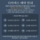 호텔 디 | 제주 디아넥스 호텔 I 슈페리어 더블 객실 후기