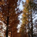 청산정원 이미지