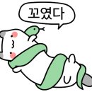목련양과 이미지