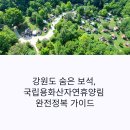 예약 경쟁 치열한 국립용화산자연휴양림 숙소와 야영장 완전 정복