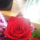 로이 힐링 이미지