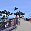 낙산의상대 이미지