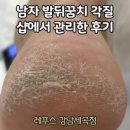 레푸스강남세곡점 이미지
