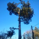 대천16통노인회관 | 성북동 심우장(한용운)