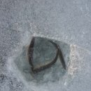 현남중학교 | 강원도여행,강원도양양 빙어낚시*