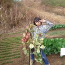 기쁨농장 이미지