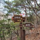 장승포시외버스터미널 이미지