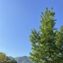 GS성주가천점 | [고령] 숲에안기다/대구근교 탑티어/H사이트후기/관리갑/체험캠핑장/가족단위최고캠핑장