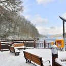 장성호 출렁다리(넘실정) 이미지