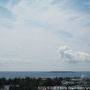 위미 모루왓 이미지