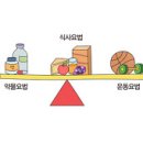 건강지식-비만(Obesity) 이미지