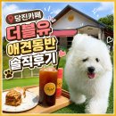 당진카페 더블유 애견동반 솔직후기
