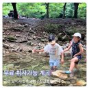 금산농협 | 금산산림문화타운 남이자연휴향림 무료 물놀이 진산농협카페